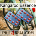 Kangaroo Essence 05